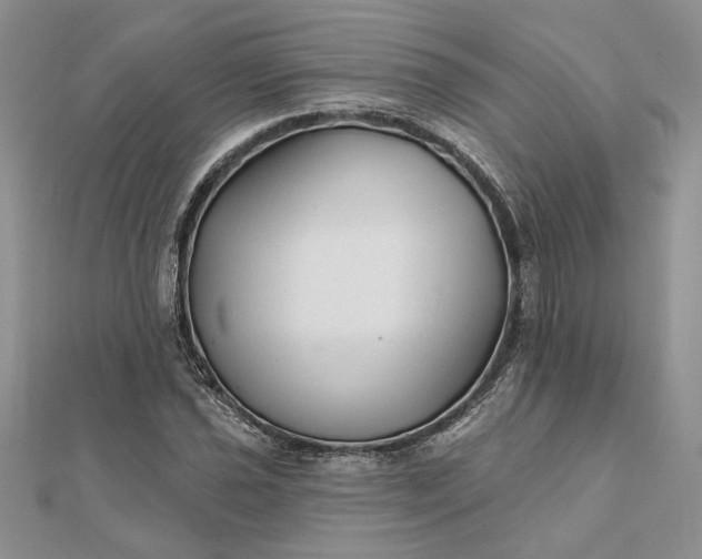 X0000111671021200907311154