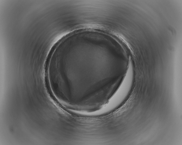 X0000111671024200907311154