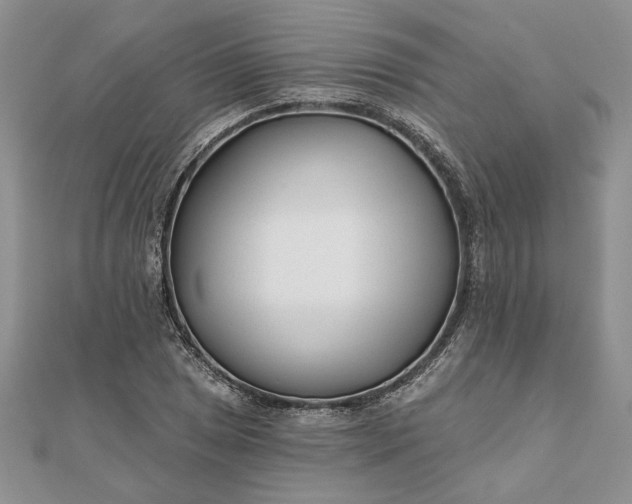 X0000111671025200907311154