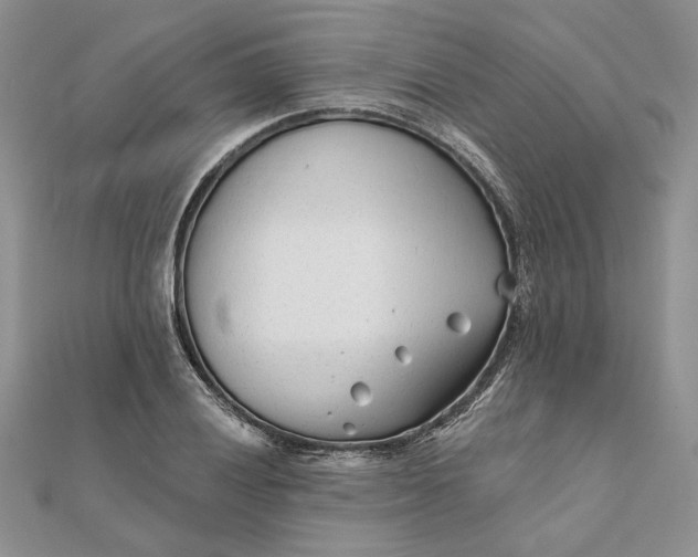 X0000111671028200907311154