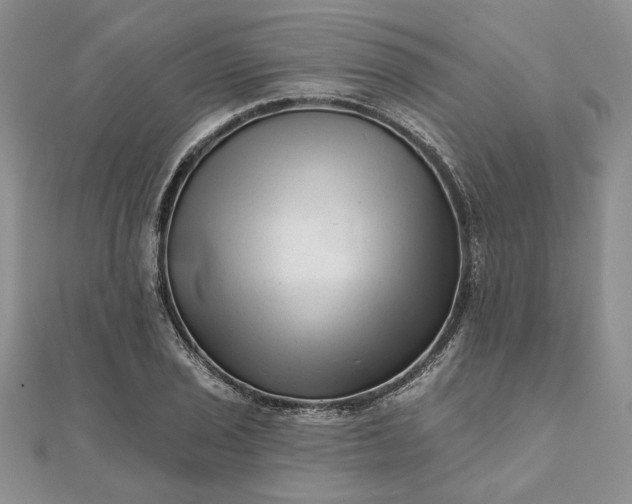 X0000111671029200907311154