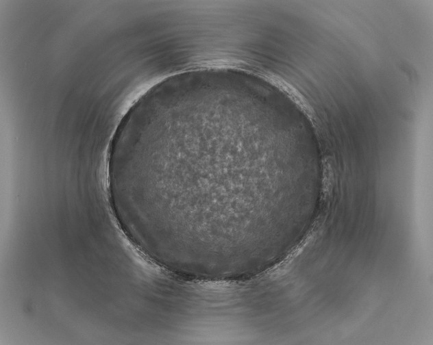 X0000111671031200907311154