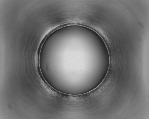 X0000111671032200907311154