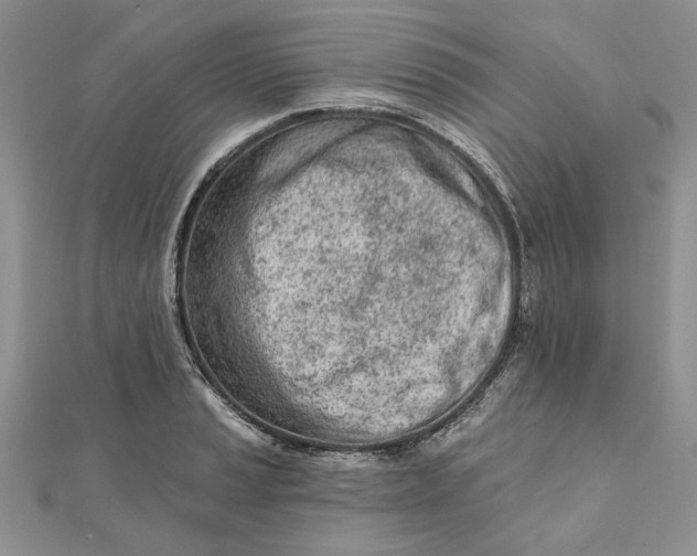 X0000111671037200907311154