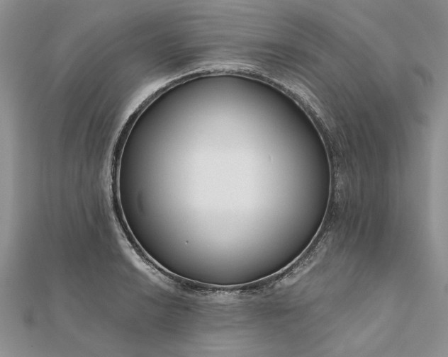 X0000111671038200907311154