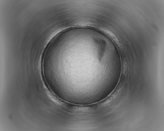 X0000111671039200907311154