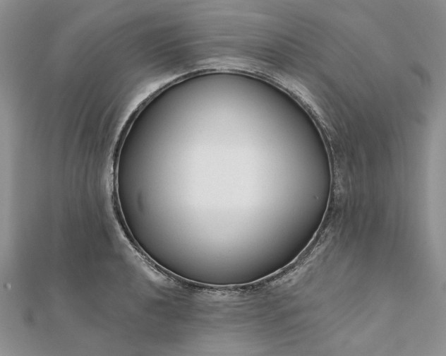 X0000111671040200907311154