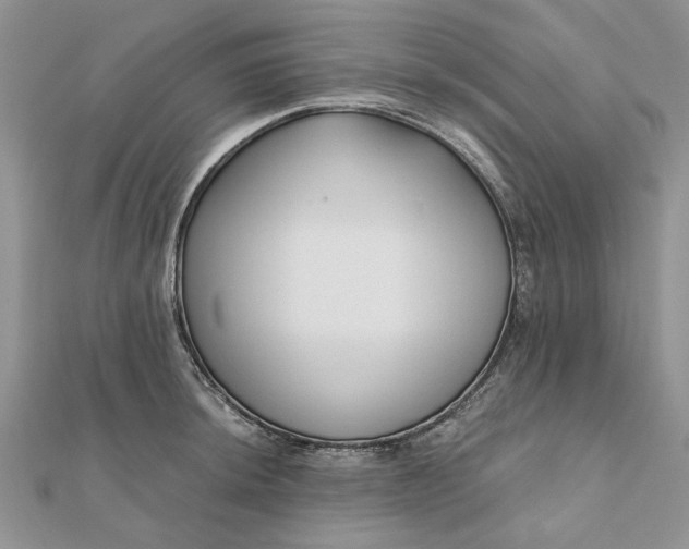 X0000111671044200907311154