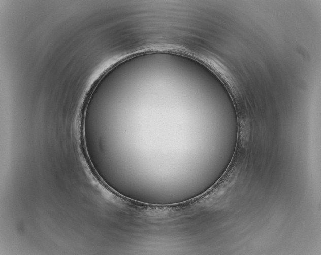 X0000111671046200907311154