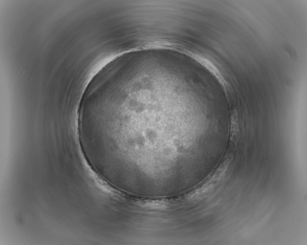 X0000111671047200907311154