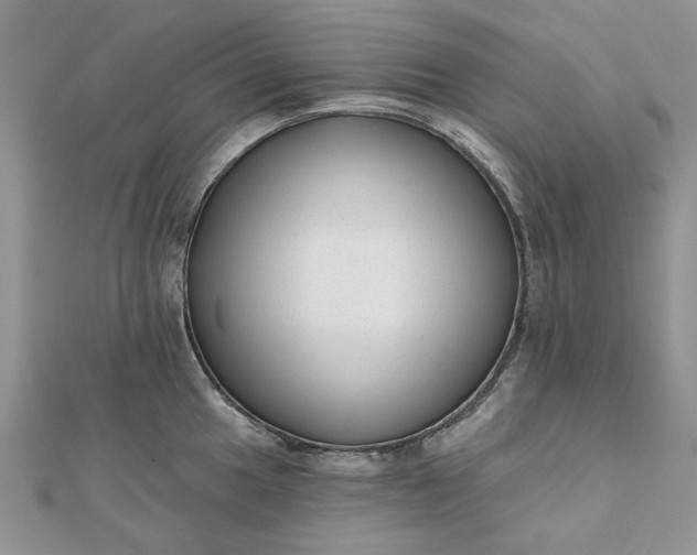 X0000111671049200907311154