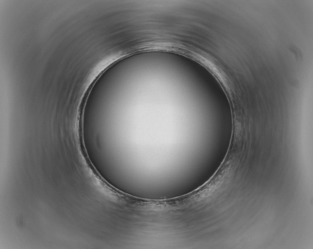 X0000111671050200907311154