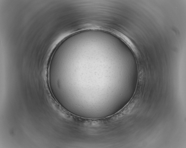 X0000111671051200907311154