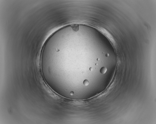 X0000111671052200907311154