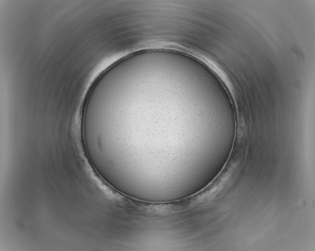 X0000111671053200907311154