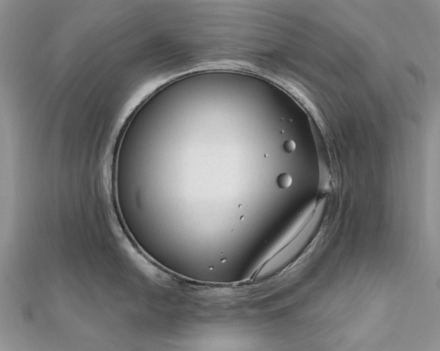 X0000111671054200907311154