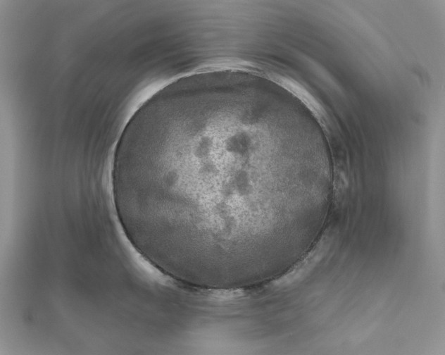 X0000111671055200907311154