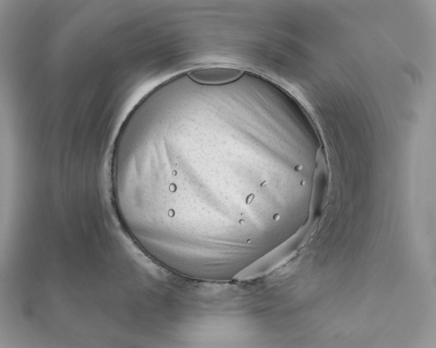 X0000111671056200907311154