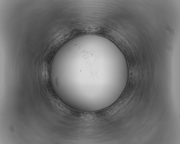 X0000111671058200907311154