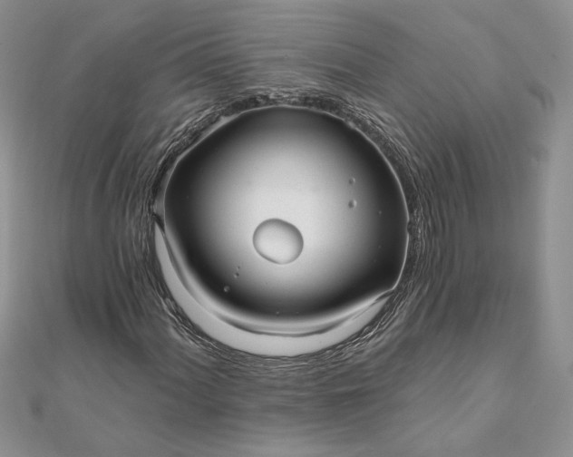 X0000111671060200907311154