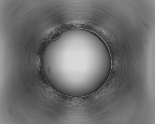 X0000111671062200907311154