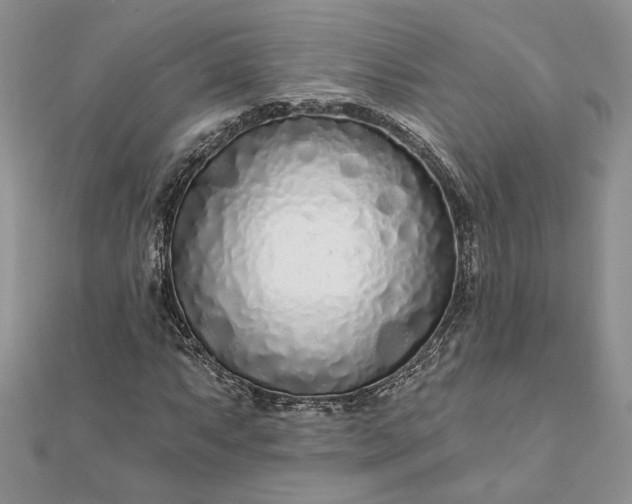 X0000111671063200907311154