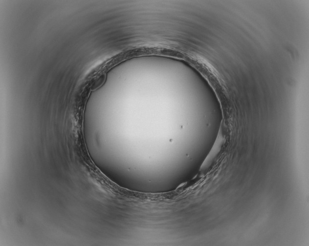 X0000111671064200907311154