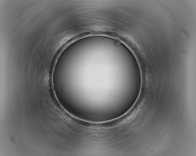 X0000111671065200907311154