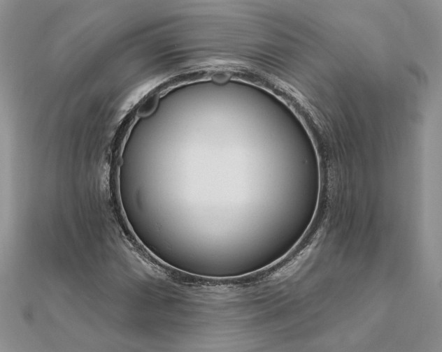 X0000111671066200907311154