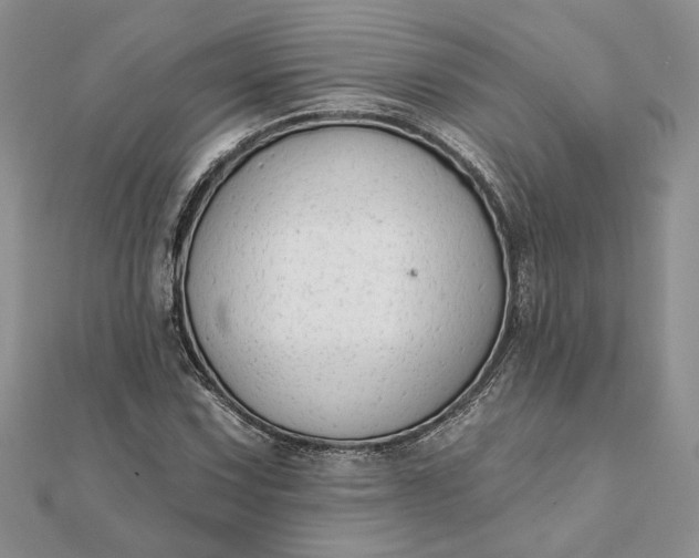 X0000111671067200907311154