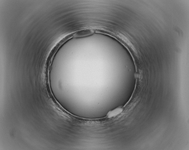 X0000111671068200907311154