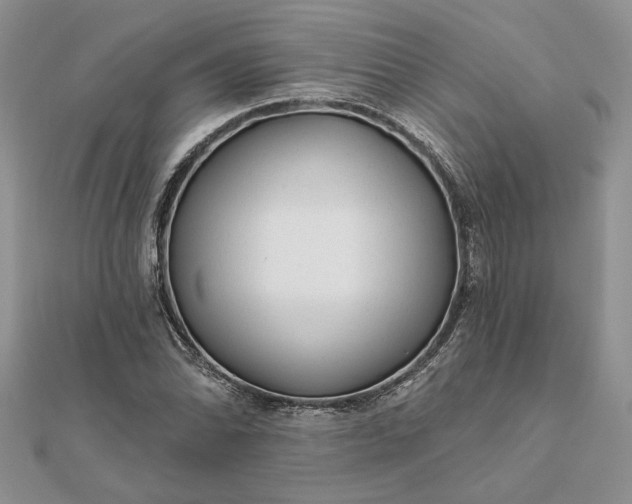 X0000111671070200907311154