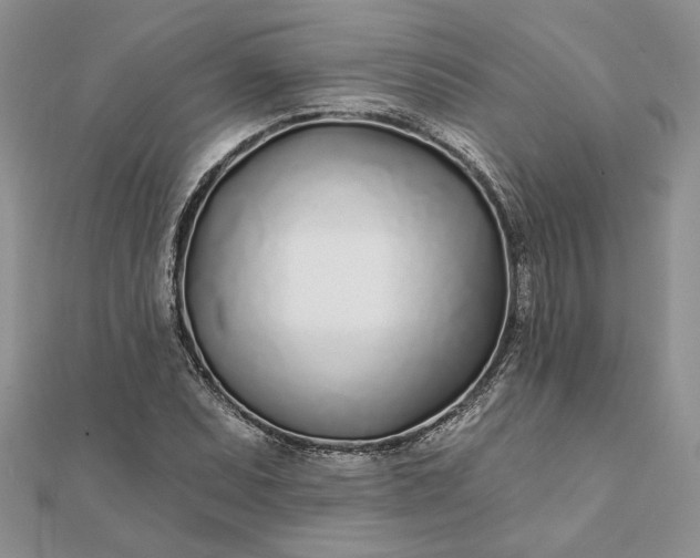 X0000111671071200907311154