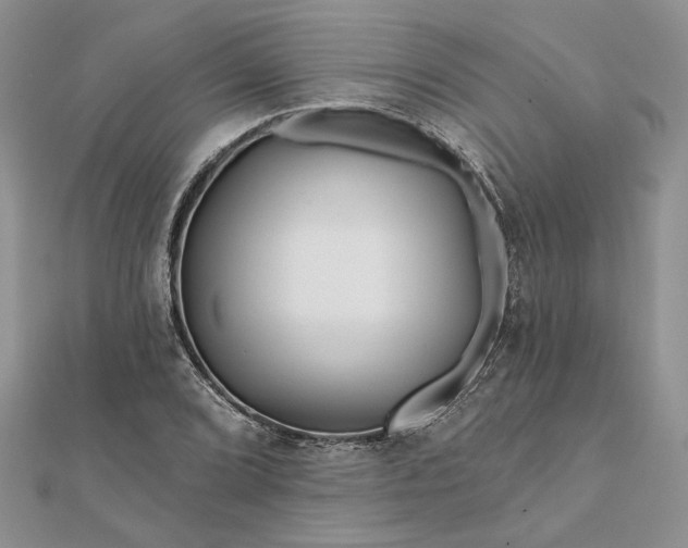 X0000111671072200907311153