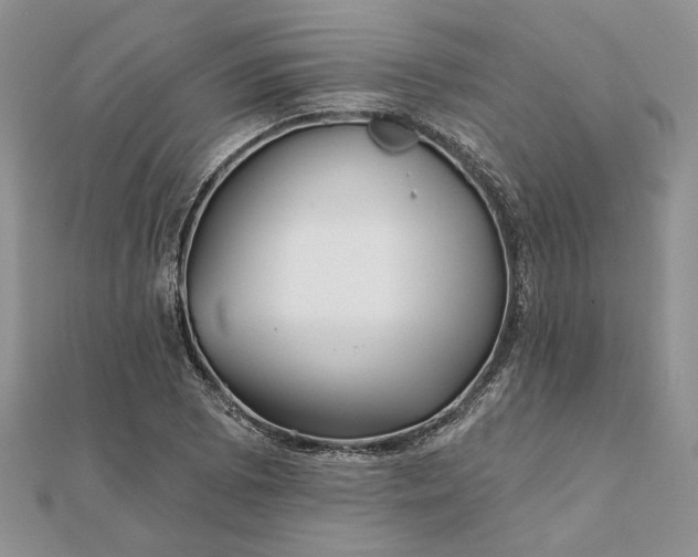 X0000111671073200907311153