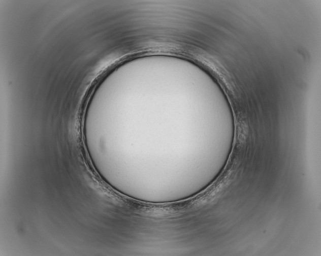 X0000111671074200907311153