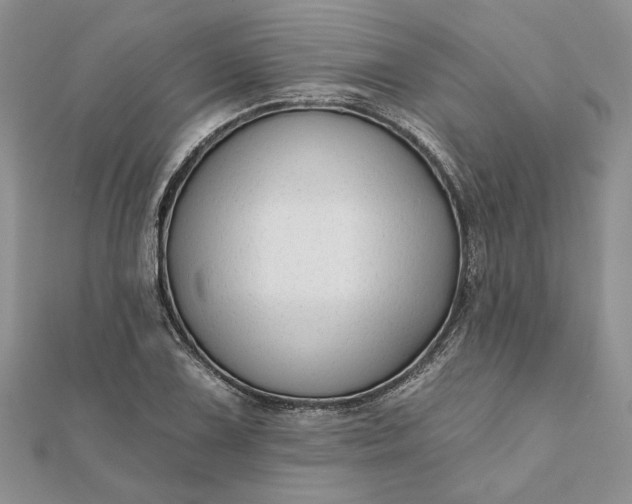 X0000111671075200907311153