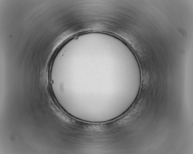 X0000111671078200907311153