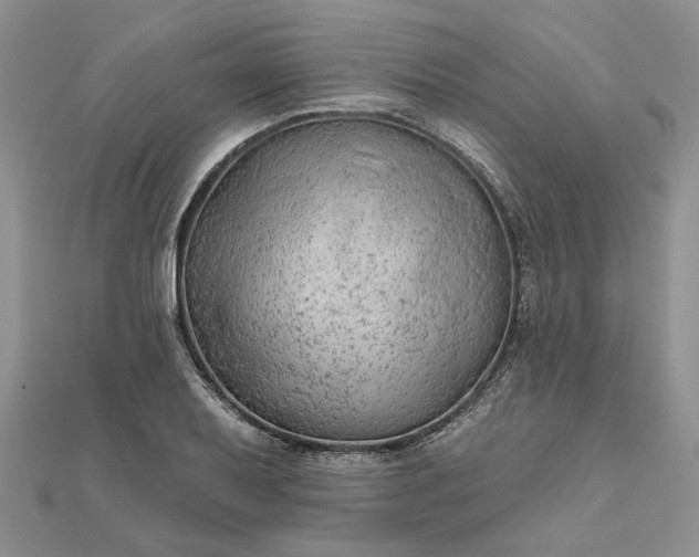 X0000111671079200907311153