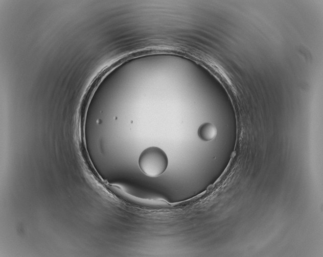 X0000111671080200907311153