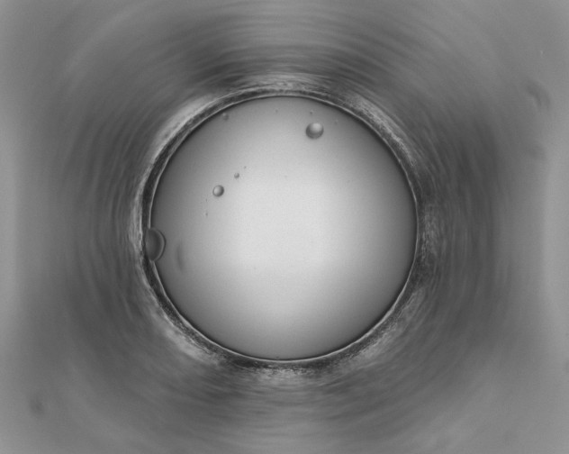 X0000111671082200907311153