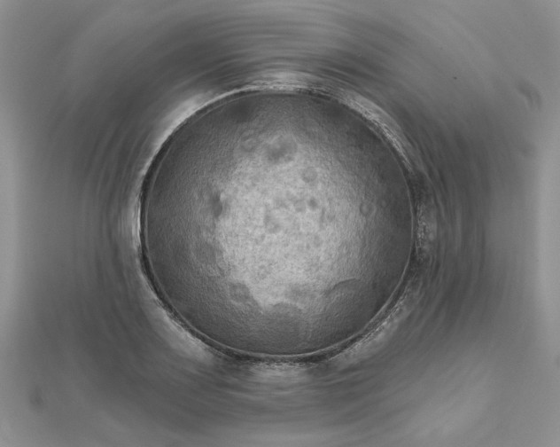 X0000111671083200907311153