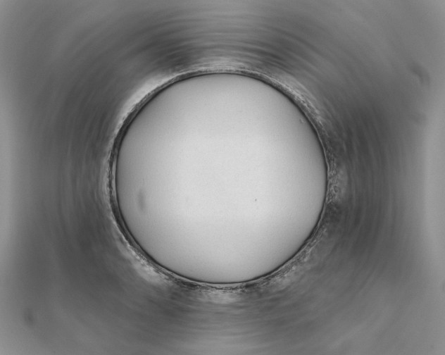 X0000111671086200907311153