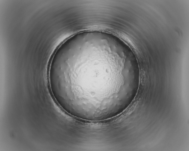 X0000111671087200907311153