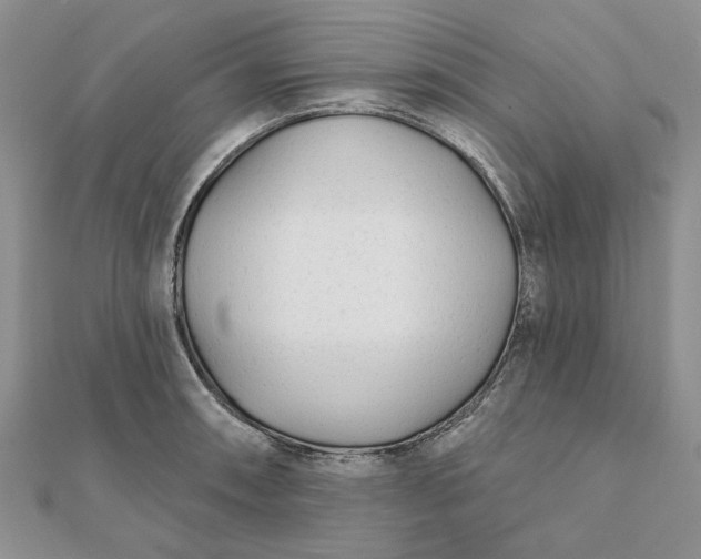 X0000111671090200907311153