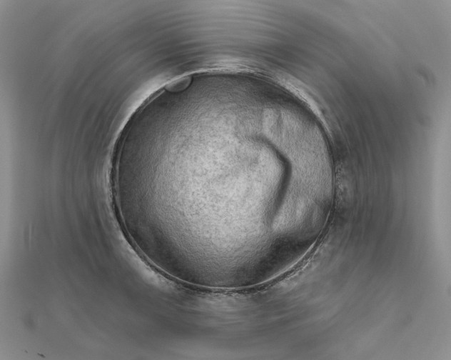 X0000111671091200907311153