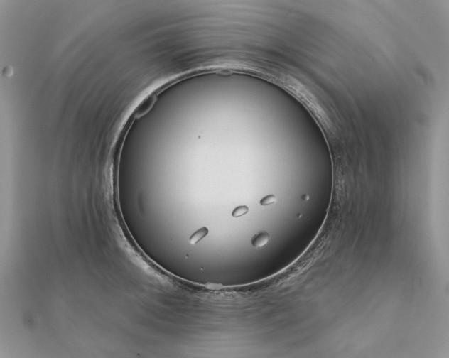 X0000111671092200907311153