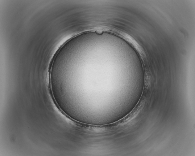 X0000111671095200907311153