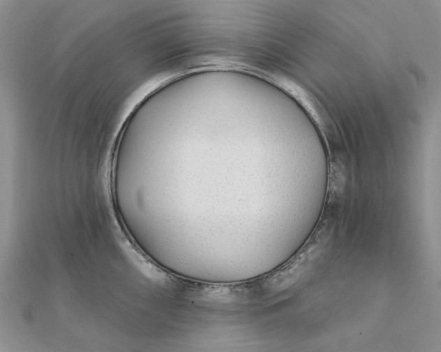 X0000111671098200907311153