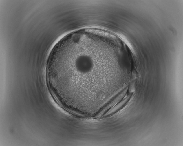 X0000111671100200907311153